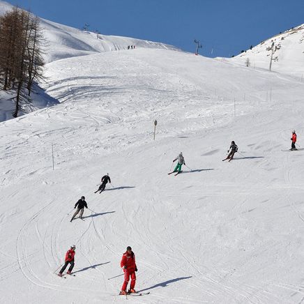 Les différents niveaux de ski ESF : guide pour progresser