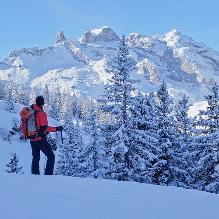 Les activités d'Hiver à découvrir