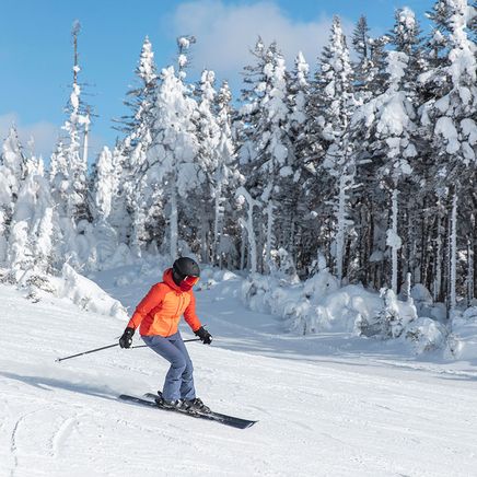 Connaitre les bases pour faire du ski