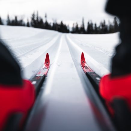 Vue à la première personne d'une paire de skis de fond rouges et noirs sur une piste enneigée et tracée, avec des arbres en arrière-plan.